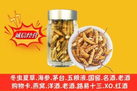 沈阳市铁西回收散虫草